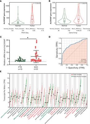 ALOX5AP Predicts Poor Prognosis by Enhancing M2 Macrophages Polarization and Immunosuppression in Serous Ovarian Cancer Microenvironment